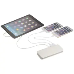 Bild på 10 000 mAh powerbank, med ficklampa - Spare 