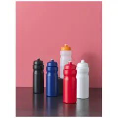 Bild på Baseline® Plus 650 ml sportflaska med sportlock