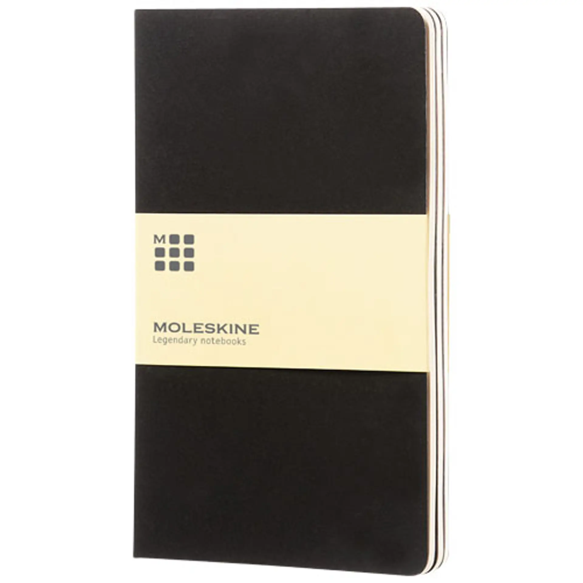 Bild på Moleskine Cahier Journal L – blankt papper