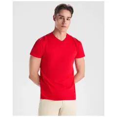 Bild på Samoyedo kortärmad v-ringad T-shirt för herr