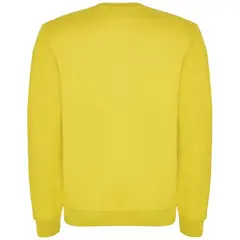 Bild på Tröja barn, bomull/polyester, 280g/m2 - Clasica