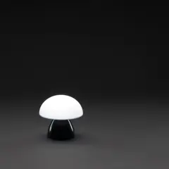 Bild på Luming USB uppladdningsbar bordslampa RCS plast