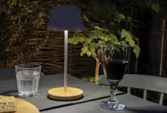 Bild på Pure Glow USB uppladdningsbar bordslampa RCS plast