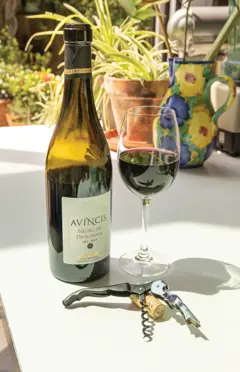 Bild på Vino kyparkorkskruv
