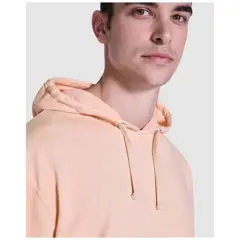 Bild på Kenia unisex hoodie