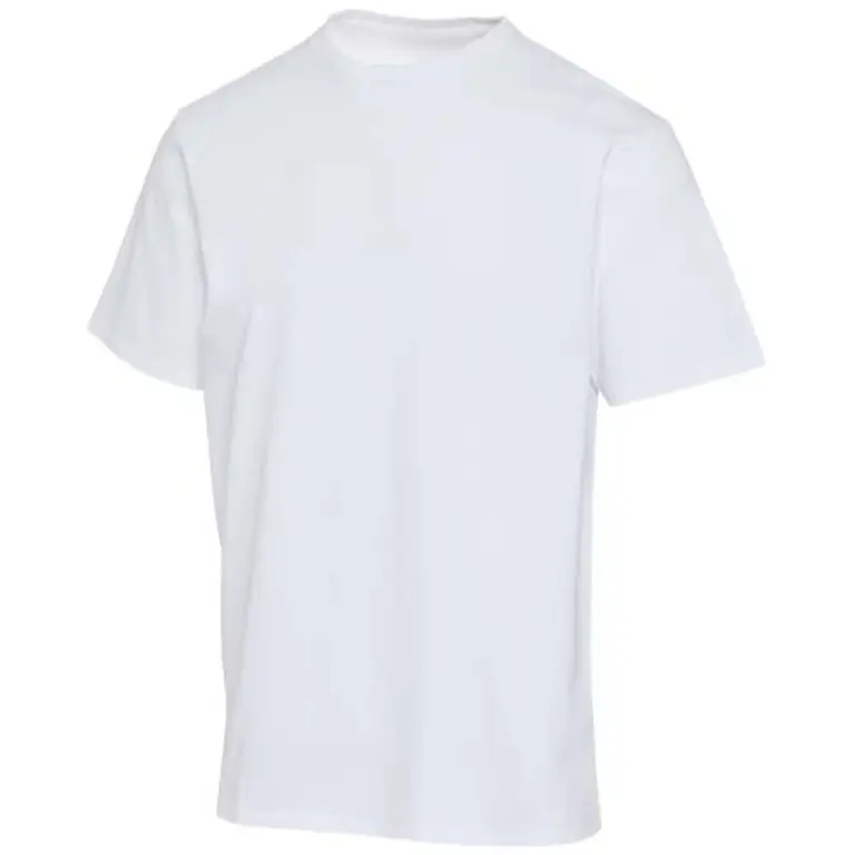 Bild på Lucas 260 g/m2 unisex-oversized T-shirt av ekologiskt OCS-material 