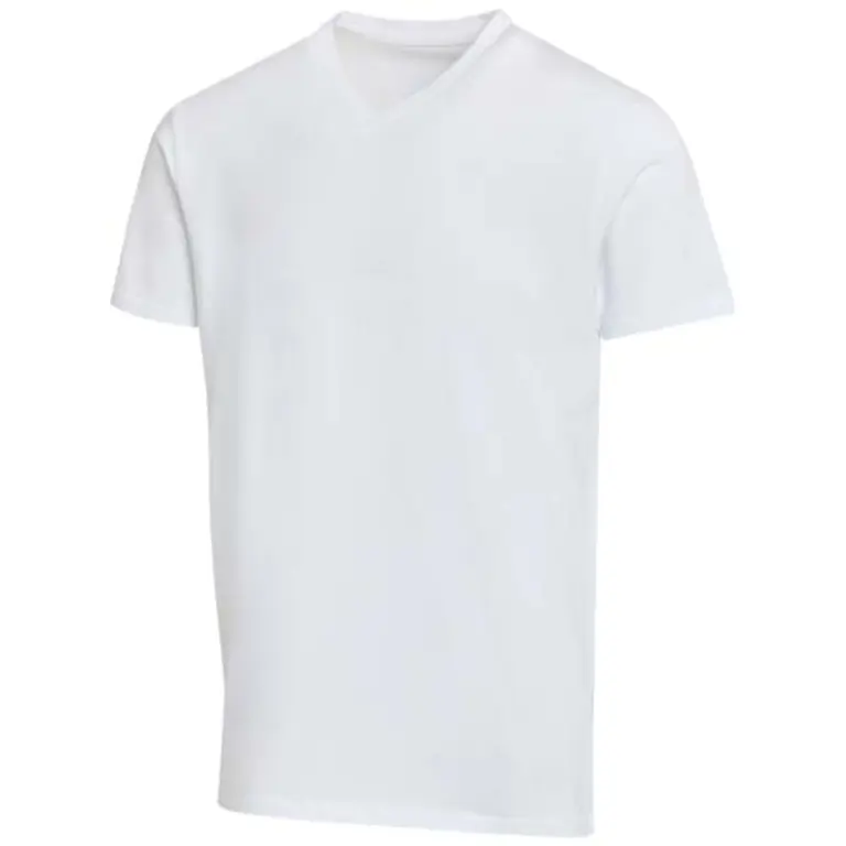 Bild på Balfour 200 g/m² kortärmad v-ringad unisex-T-shirt av ekologiskt OCS-material