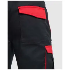 Bild på Tahoe 250 g/m2 arbetsshorts
