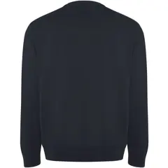 Bild på Tröja unisex, ekologisk bomull, 300g/m2 - Batian