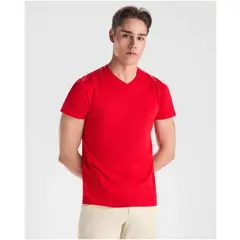 Bild på Samoyedo kortärmad v-ringad T-shirt för herr