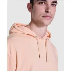 Bild på Kenia unisex hoodie