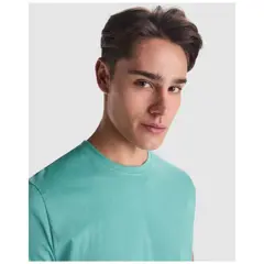 Bild på Stafford kortärmad T-shirt för herr